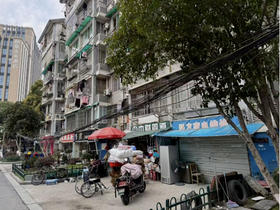 商报实习记者 邵欣怡 记者 陈敏