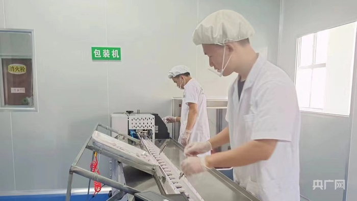 井冈山市当地企业生产红米糍粑（央广网发  井冈山市农业农村局供图）