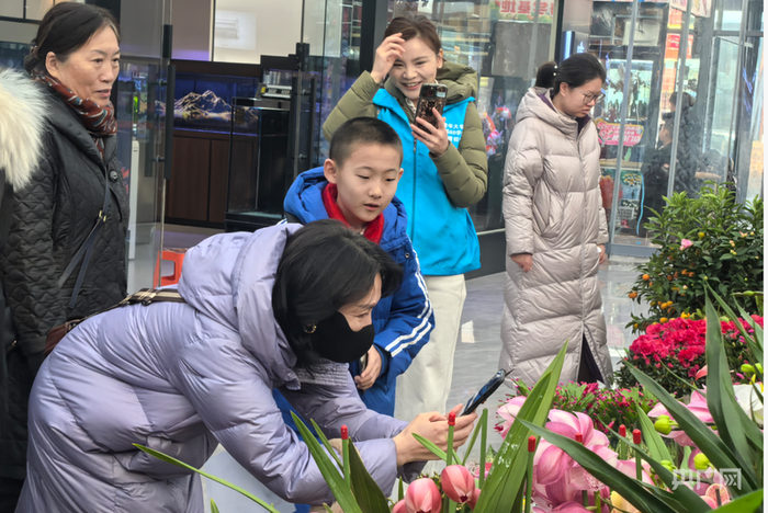 市民在花卉市场选购心仪的盆栽（央广网记者  邵玉琴  摄）