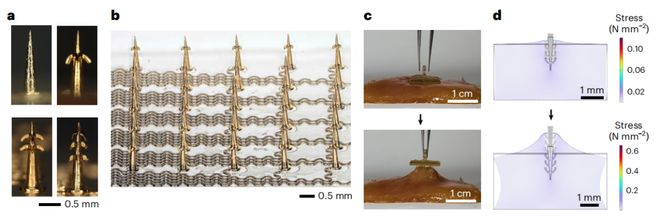 （来源：Nature Biomedical Engineering）