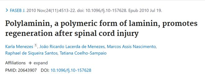 （来源：FASEB Journal）