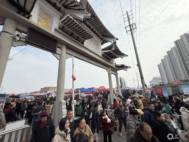 每逢周日，滁州花鸟鱼虫市场都会迎来大客流。巩持平摄