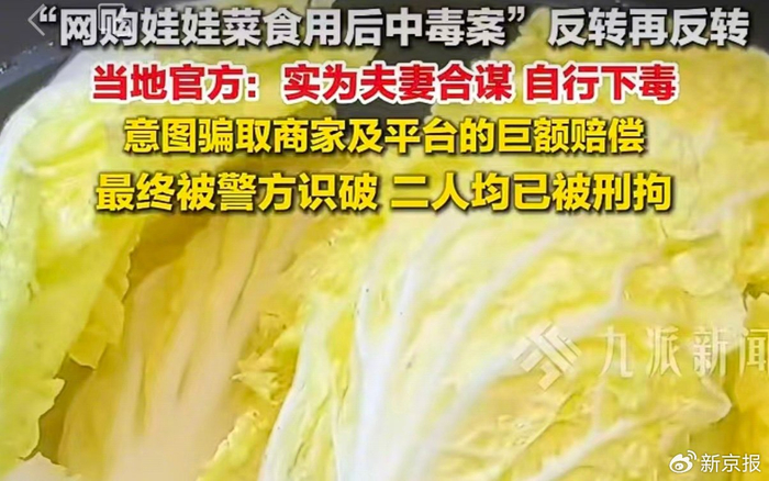 ▲随着侦查深入，警方发现“网购娃娃菜食用后中毒”系夫妻合谋骗财。图/九派新闻视频号​