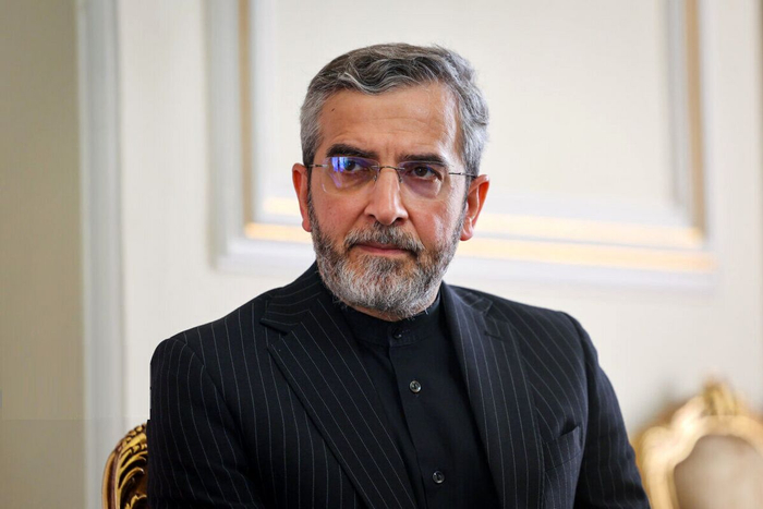 ▲伊朗最高国家安全委员会秘书处外交政策副主任巴盖里