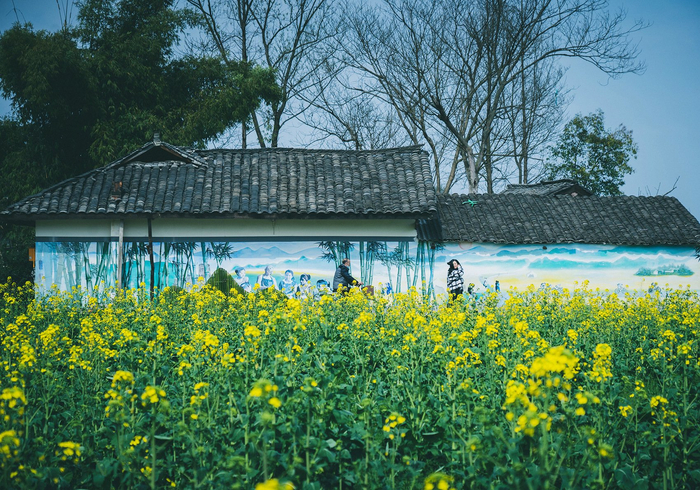 图片来源：每经记者 张建 摄（资料图）