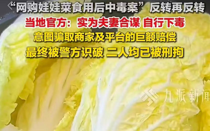 ▲随着侦查深入，警方发现“网购娃娃菜食用后中毒”系夫妻合谋骗财。图/九派新闻视频号