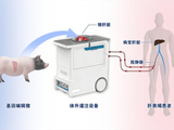 我国成功实施首例基因编辑猪肝体外灌注治疗肝衰竭