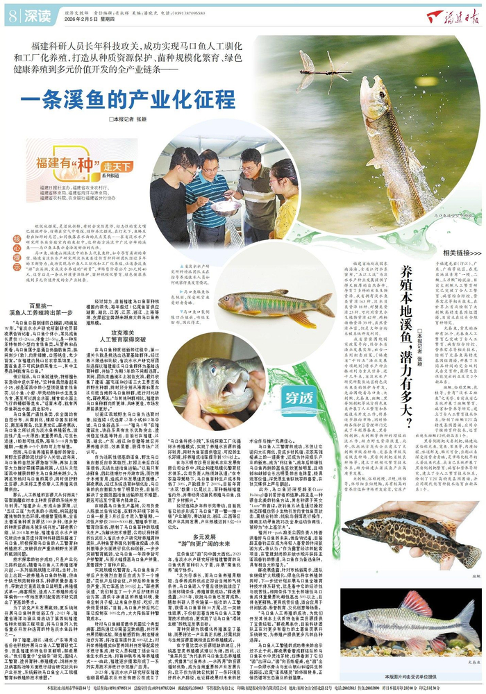 《福建日报》2026年2月5日08版