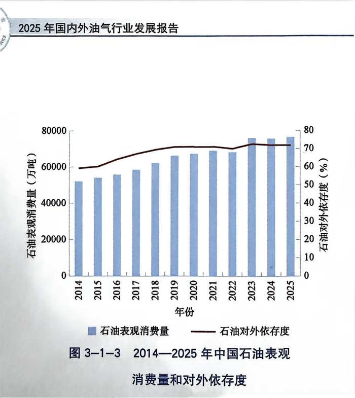 图片来源：《2025年国内外油气行业发展报告》