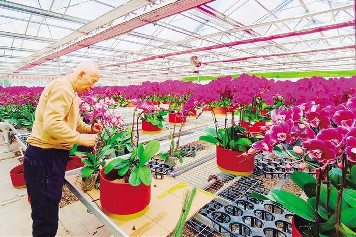  ●本报记者 刘沙沙 通讯员 范若泉 文/图