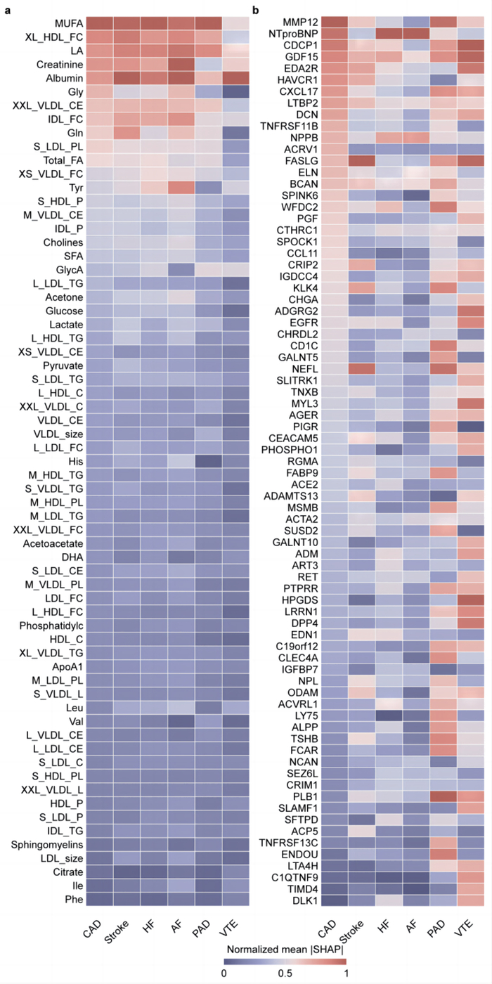 （图5. 心血管疾病风险预测中具有代表性的关键代谢物和蛋白质。a. 关键代谢物；b. 关键蛋白质。）