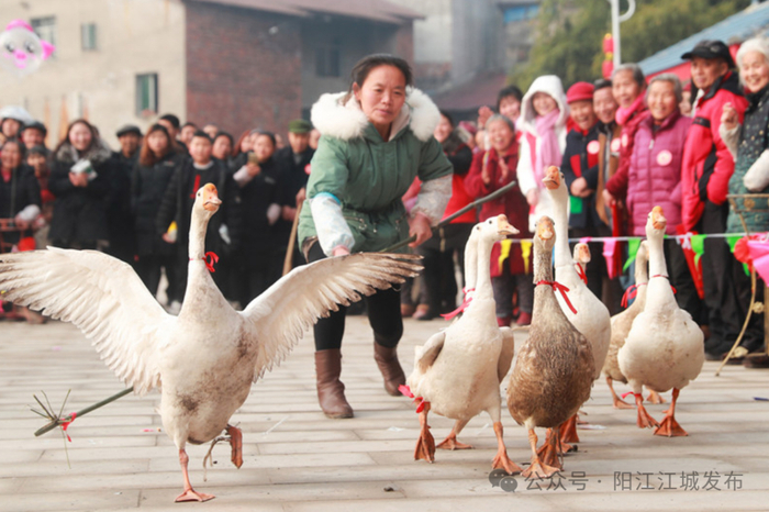 图源：阳江江城发布