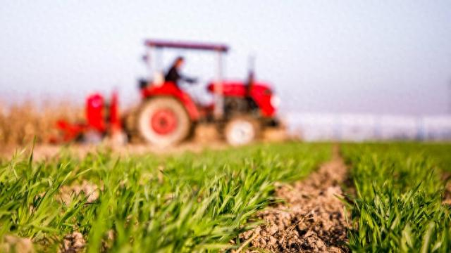 农业农村部放大招！印发实施意见，推动三农工作大提升