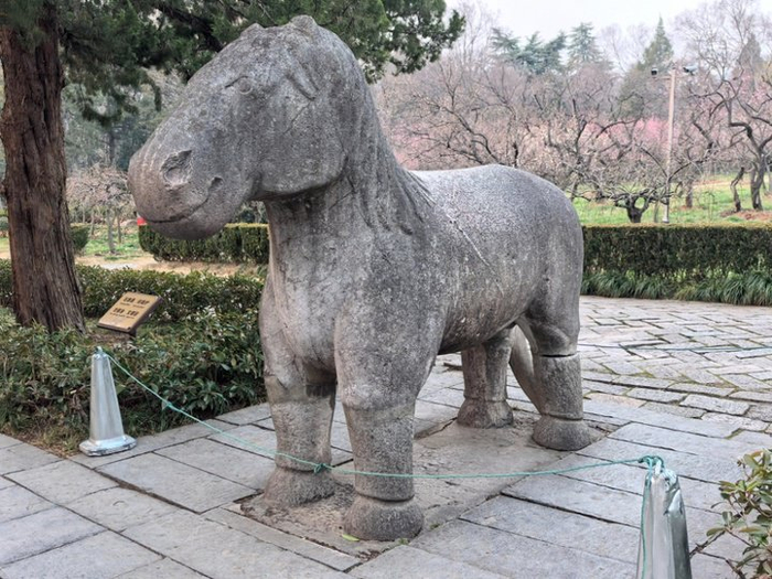 高度写实的明孝陵神道石马 新华日报·交汇点记者 宋宁 摄
