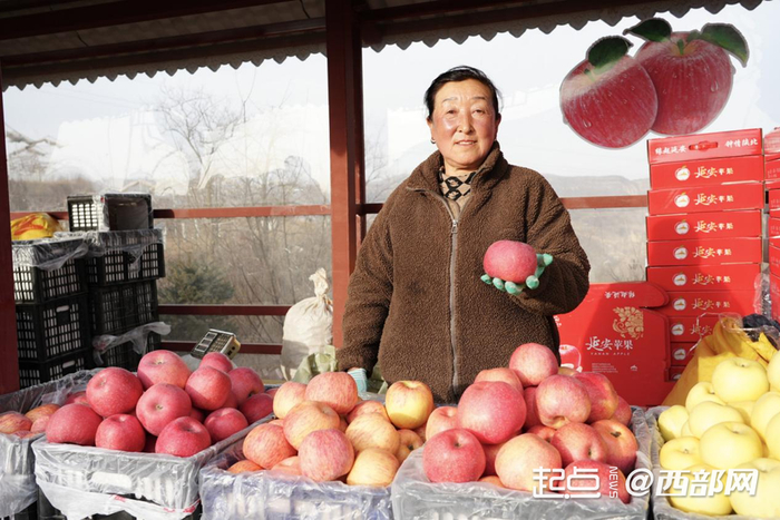 贺家湾村村民在村口售卖苹果。