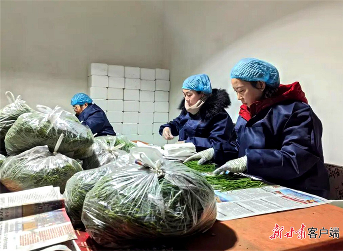 工人正在分拣包装沙葱。图片由民勤县融媒体中心提供