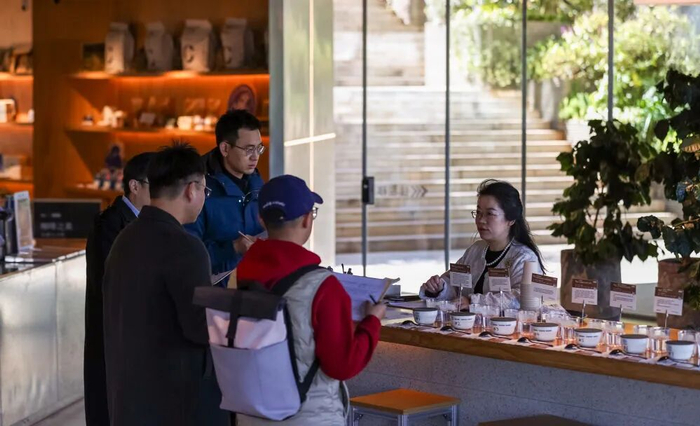 云南精品咖啡寻豆师进行咖啡杯测。图源：新华社