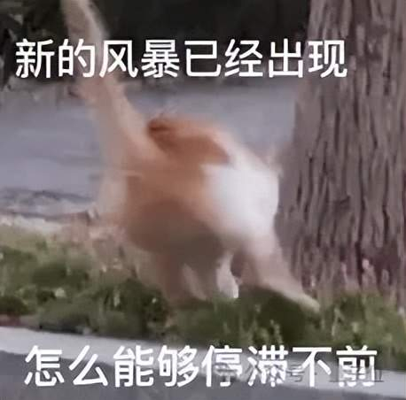 在陶哲轩看来，这项实验非常有意思：