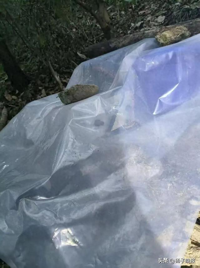 捕猎装置 受访者供图