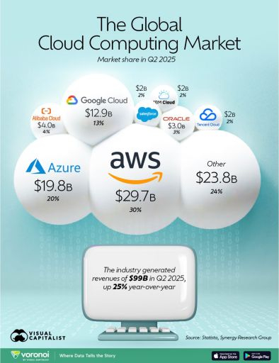 全球云服务商市场份额排名 图片来源：Visual Capitalist