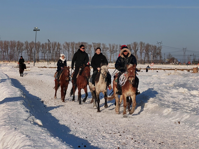 雪地马术马年拥有不一样的体验。王文郁/摄