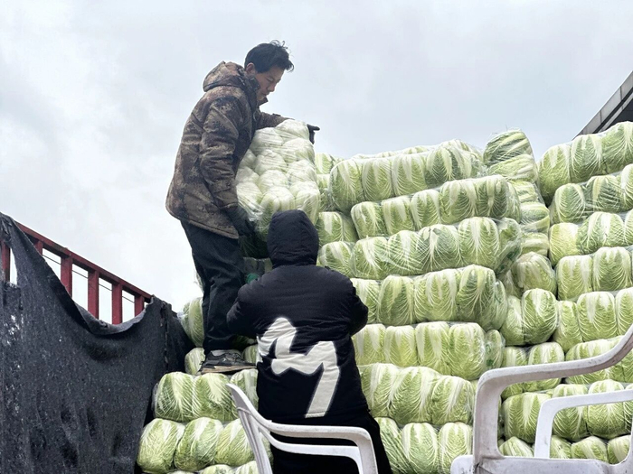 整体供应充足、价格平稳。受访对象供图