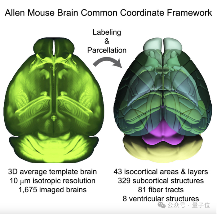 但这类手工特征很强的图谱也不可避免地存在一个问题：具有主观性。