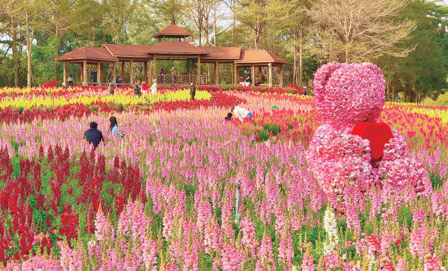 　　园博苑花开似海，游客不断。徐光辉 摄