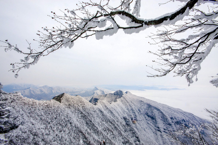 光雾山雪景