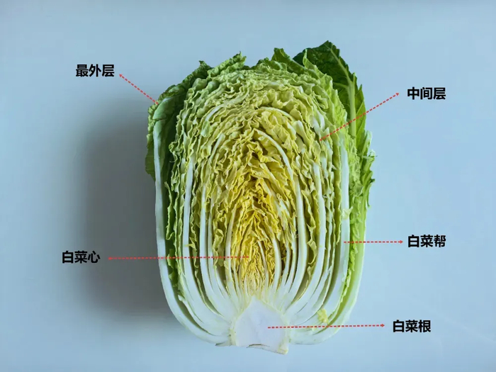 ​图：自己拍的+自己做的