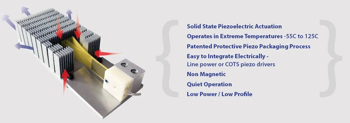▲ 图｜PIEZO
