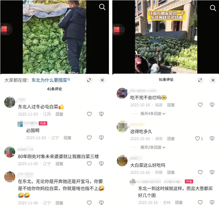 ​图：评论区（社交平台截图）