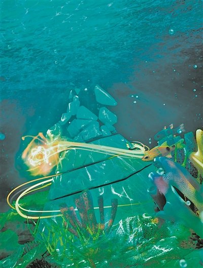 展示珊瑚礁营养级变化的艺术图。    图片来源：ScienceBrush Design