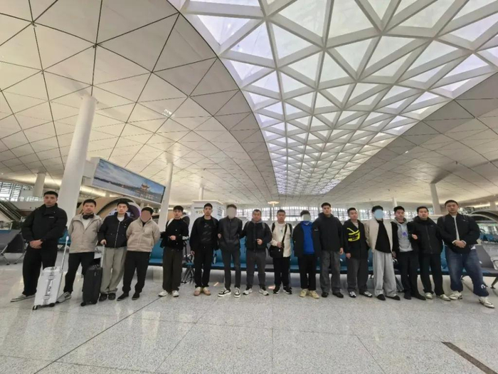 图片来源：“平安苍南”微信公众号