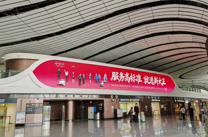 新大正新春品牌形象广告（北京大兴机场）