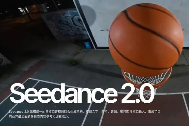 图自Seedance 2.0项目介绍页面
