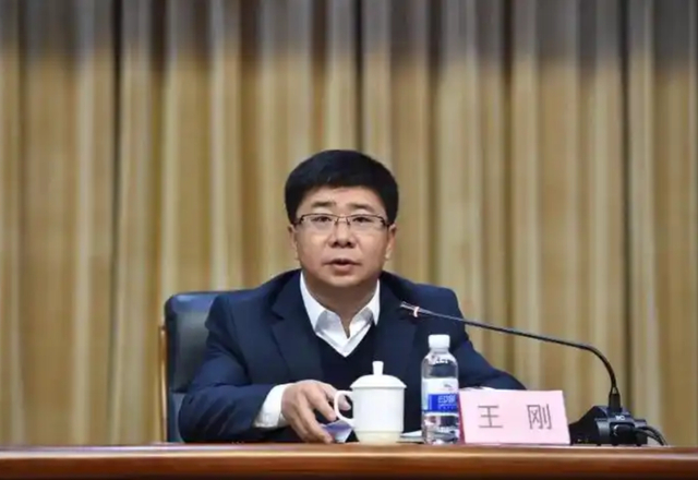 王刚 资料图