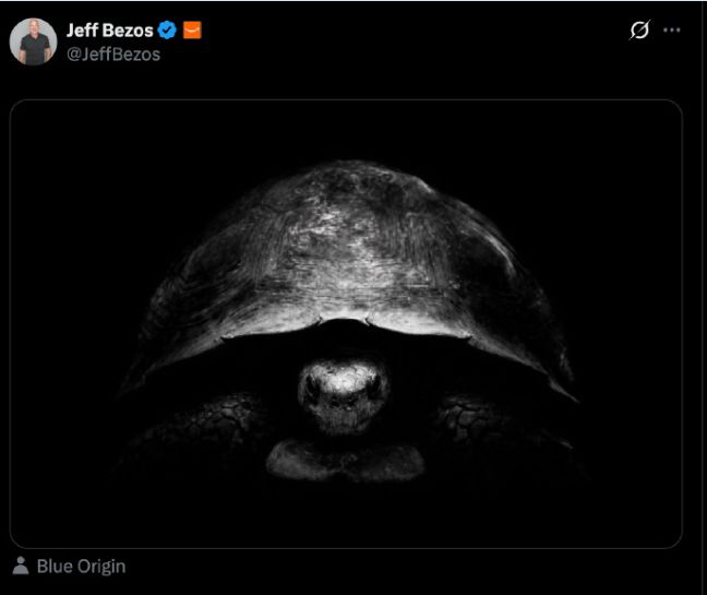 贝索斯发布的乌龟照片