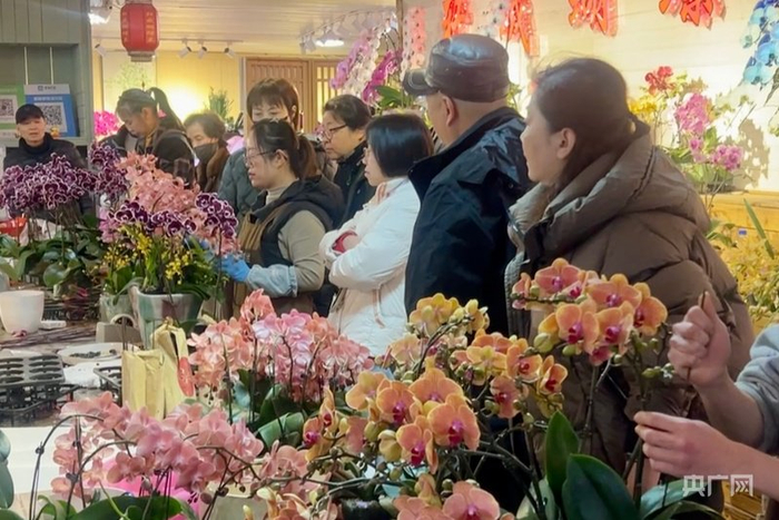 人气旺盛的虹桥花谷（央广网记者  唐奇云  摄）