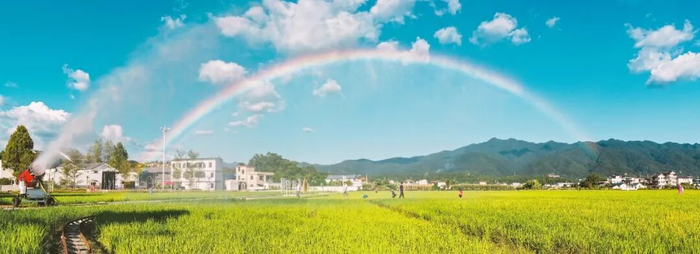 蕉岭县山好水好，孕育出的富硒丝苗米成为富裕一方百姓、振兴一方经济的特色农业产业。