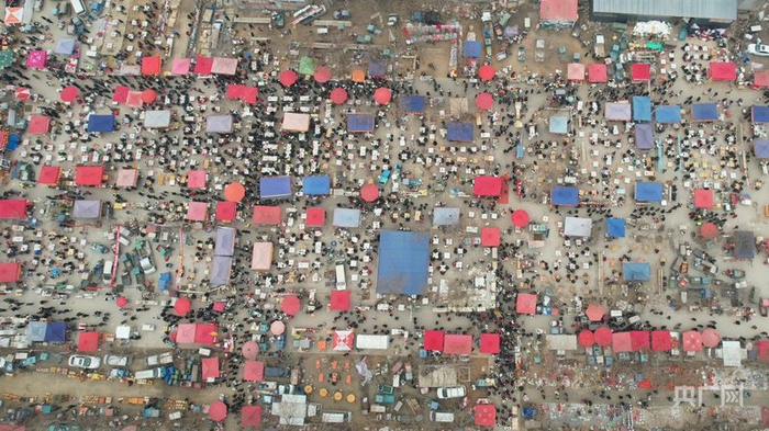 洧川大集航拍图（央广网记者  郝振青  摄）