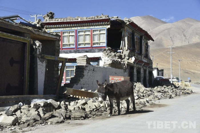 资料图：定日地震发生后第二日的森嘎村　摄影：赵振宇