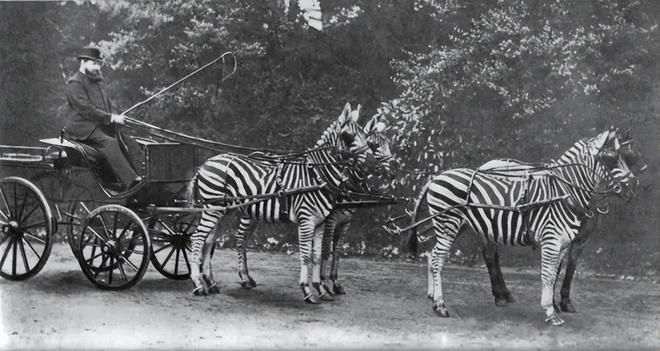 图片来源：arehistoricalphotos
