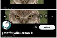 百密一疏？杜兰特大号与疑似小号使用了同一张猫头鹰图片
