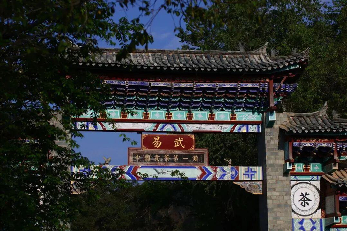 图源：勐腊发布