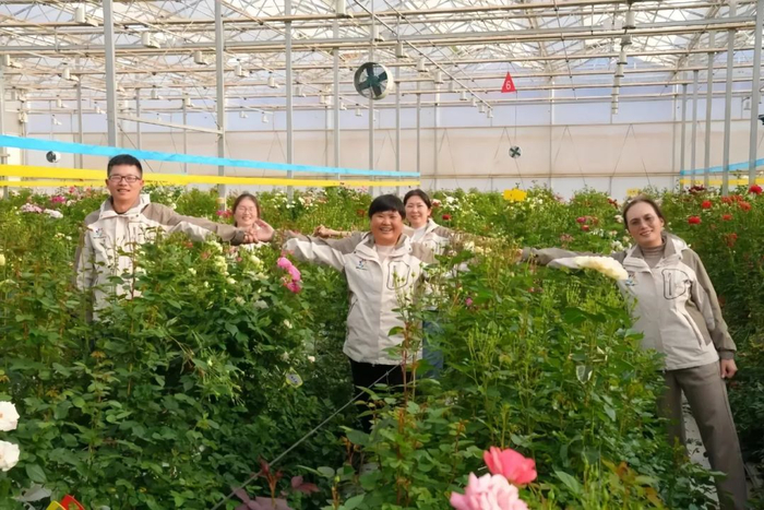 ·蔡艳飞与团队在月季育种基地合影。（昆明广播电视台）