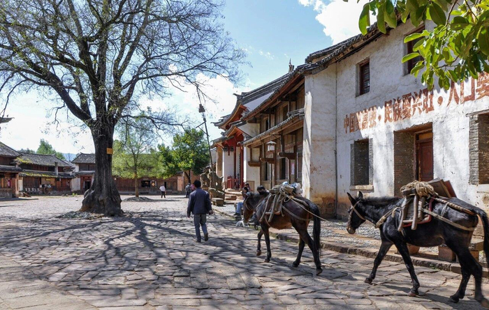 图源：剑川沙溪发布