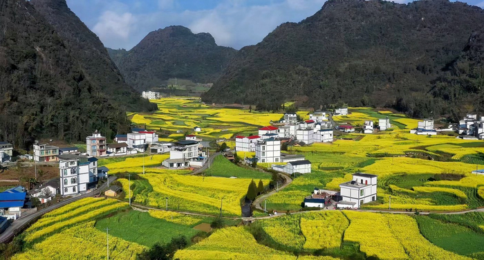 马关县委宣传部供图（曾跃芳 摄）
