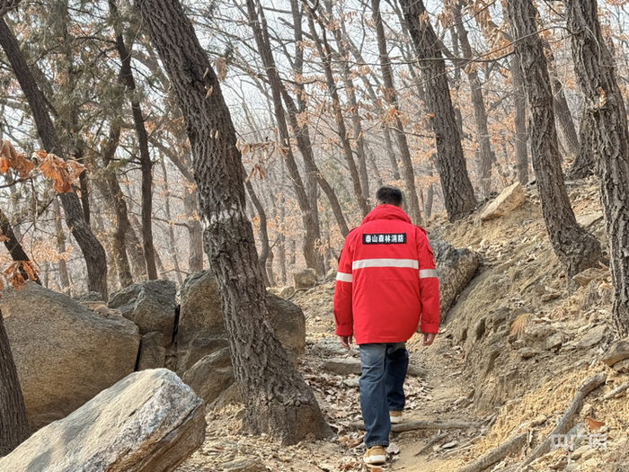 林间巡护（央广网发  张雨萱摄）