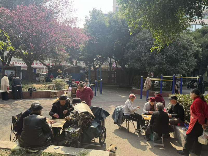 东升街小广场，打扑克牌的老年人。新京报记者 吴淋姝 摄